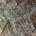 Natural Weathered Grey Tree Stump Cut Texture, Large Detailed Old Aged Gray Lumber Background Horizontal Macro Closeup, Dark Black Royalty Free Stock Photo