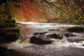 Natural weir and Autumn colour.