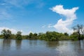 Natural wetland landscape vegetation, near Kampong Phluk floating village, Tonle Sap River, Cambodia Royalty Free Stock Photo