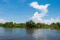 Natural wetland landscape vegetation, near Kampong Phluk floating village, Tonle Sap River, Cambodia Royalty Free Stock Photo