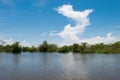 Natural wetland landscape vegetation, near Kampong Phluk floating village, Tonle Sap River, Cambodia Royalty Free Stock Photo