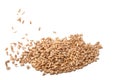 Natural wheat grain