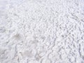 Natural white background. Granular crystalline salt desert texture.