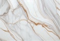 Natural white Italian slab marble stone texture for interior