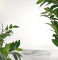 Natural White Platform Stage Blank For Show Product With Green Plants Blur Fore Ground 3d Render