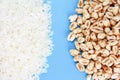 Natural white rice and airy sweet rice on a blue background