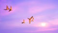 Flock of macaw parrot birds flying together in colorful purple sky of sunset