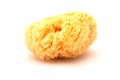 Natural wild sponge