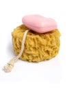 A natural wild sponge with a soap