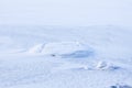Wind snow pattern background Royalty Free Stock Photo