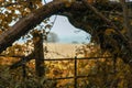 Natural window in Thornecombe Woods, Dorchester, Dorset, UK Royalty Free Stock Photo