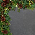 Natural Winter Christmas & New Year Background Border Royalty Free Stock Photo