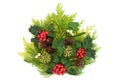 Natural Winter Flora with Holly and Greenery Royalty Free Stock Photo