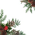 Natural Winter Floral Border with Holly and Cedar Royalty Free Stock Photo