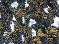 Natural winter ploughland, winter acreage, background, natural texture