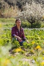 Natural woman working in sunny sustainable garden Royalty Free Stock Photo