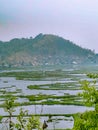 Natural wonder - Loktak lake in moirang ,Manipur, India