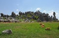 Natural wonders of China (stone forest)