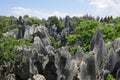 Natural wonders of China (stone forest)