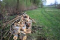 Natural wood background - closeup of chopped firewood. Firewood stacked and prepared for winter. A pile of firewood by the road Royalty Free Stock Photo