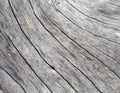 Natural wood background. Pale grey weathered timber closeup Royalty Free Stock Photo