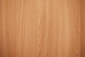 Natural wood light color texture background. Wood texture with natural pattern. Natural light color wood texture. Royalty Free Stock Photo