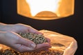 Natural wood pellet for heating in women`s hands, bio fuel Royalty Free Stock Photo