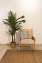 Natural wood single seater chair next to a decorative palm tree and a brown carpet