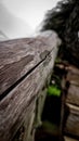 Natural wood split in the tea garden