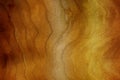 Wood texture background