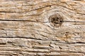 Natural wood texture closeup