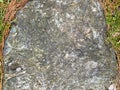 Grey Stone and Green Moss Texture