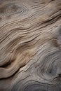 Natural Wood Texture Macro Abstract Nature Background Backdrop Forest Surface Wallaper