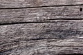 Natural wood texture. Old tree trunk background - horizontal lines Royalty Free Stock Photo