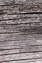 Natural wood texture. Old tree trunk background- horizontal lines Royalty Free Stock Photo