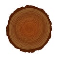 Natural wood tree circle ring isolated Royalty Free Stock Photo