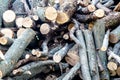 Natural wooden background. Close up view of not chopped firewood Royalty Free Stock Photo