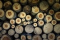 Natural wooden background, closeup of chopped firewood. Firewood stacked and prepared for winter Pile of wood logs. Royalty Free Stock Photo