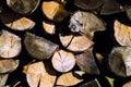 Natural wooden background, closeup of chopped firewood. Firewood stacked and prepared for winter Pile of wood logs Royalty Free Stock Photo