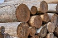 Natural wooden background - closeup of chopped firewood. Firewood stacked and prepared for winter Pile of wood logs Royalty Free Stock Photo