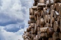 Natural wooden background - closeup of chopped firewood. Firewood stacked and prepared for winter Pile of wood logs Royalty Free Stock Photo