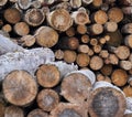 Natural wooden background - closeup of chopped firewood. Firewood stacked and prepared for winter Pile of wood logs Royalty Free Stock Photo