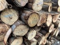 Natural wooden background - closeup of chopped firewood. Firewood stacked and prepared for winter Pile of wood logs Royalty Free Stock Photo