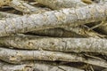 Natural wooden background - closeup pile of firewood. Preparation of firewood for the winter and use for cooking, firewood backgro
