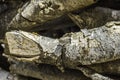 Natural wooden background - closeup pile of firewood. Preparation of firewood for the winter and use for cooking