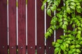 Natural wooden background with green leaves Royalty Free Stock Photo