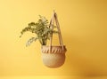 Natural wooden coat hooks, wall hanger hook with fabric bag, Woven bag and Ukulele on the white wall in low light