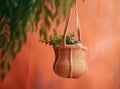 Natural wooden coat hooks, wall hanger hook with fabric bag, Woven bag and Ukulele on the white wall in low light