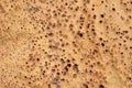 Natural wooden, corc crust a texture - closeup, beige background.