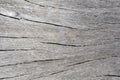 Natural wooden curves and lines on rustic timber Royalty Free Stock Photo